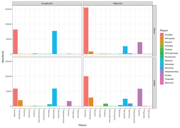 Read abundances of invertebrate phyla recovered from infauna (0–5 cm) and sediment surface (0–0.5 cm) in Kongsfjorden and Rijpfjorden.