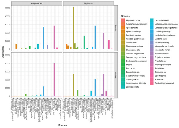 Read abundances of infauna (0–5 cm) and sediment surface (0–0.5 cm) polychaete taxa from Kongsfjorden and Rijpfjorden.