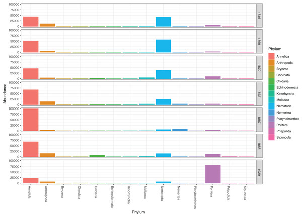 Pooled read abundances of invertebrate phyla from the sampling stations in Kongsfjorden (R1846–1870; see Fig. 1) and Rijpfjorden (R1872–1929).