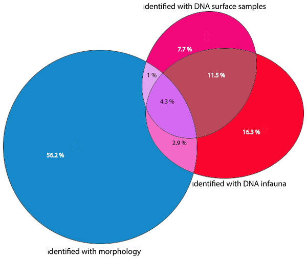 Percentages of total numbers of invertebrate taxa identified from all sampling stations combined.