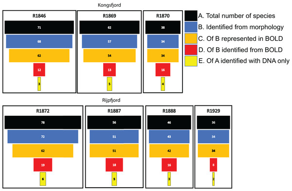 Species numbers of polychaetes identified with different approaches in this study.