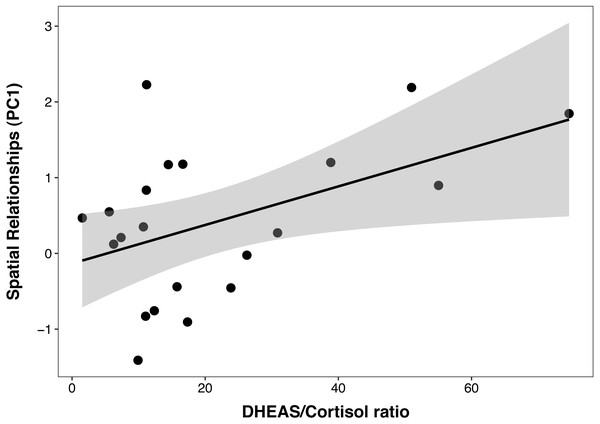 Positive correlation between DHEAS/cortisol ratio and Primate Cognition Testing Battery PC1 (spatial relationships) in chimpanzees.