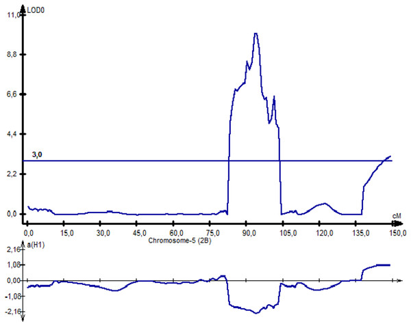 The quantitative trait locus Qtkw-PAxP.