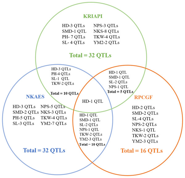 The number of stable quantitative trait loci (QTLs) for eight studied traits identified in three regions (NKAES, Petropavlovsk, in blue; RPCGF, Shortandy, in brown; KRIAPI, Almaty, in blue circles).