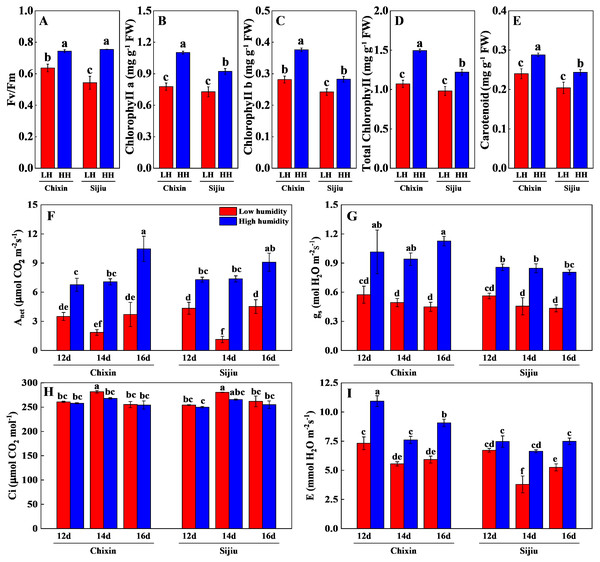 Changes of photosynthetic parameters in two flowering Chinese cabbage cultivars grown in plant factory response to different relative air humidity.