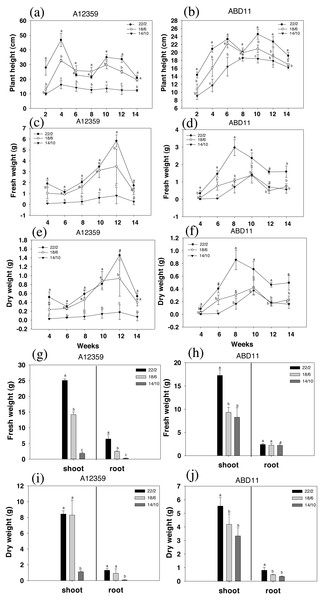 Plant height (cm), fresh weight (g) and dry weight (g) of common bermudagrass (A12359) and African Bermudagrass (ABD11) grown in three light application times (22/2, 18/6 and 14/10 hrs light/dark).