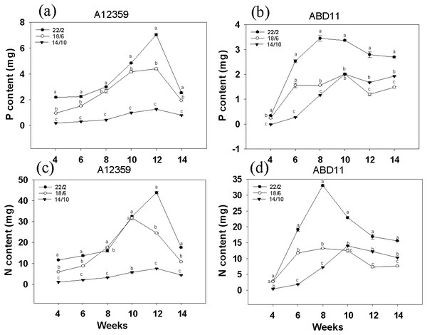 Nitrogen (N) and phosphorus (P) concent of common Bermudagrass (A12359) and African Bermudagrass (ABD11) grown in three light application times (22/2, 18/6 and 14/10 hrs light/dark).