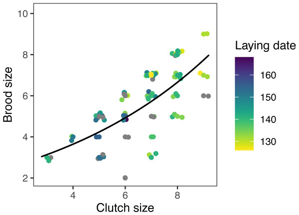 Observed (points) and predicted (black line) brood size of first nests, vs. clutch size, for mountain chickadee.