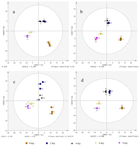 Orthogonal principal component analysis (OPLS-DA) score plots of metabolites under drought treatment.