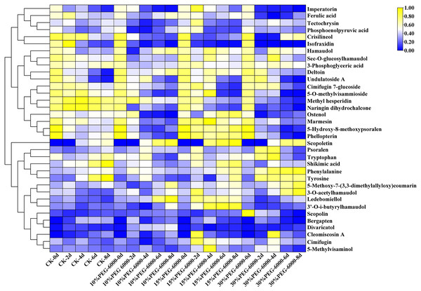Heat map visualization of S. divaricata in different treatment groups under drought stress.