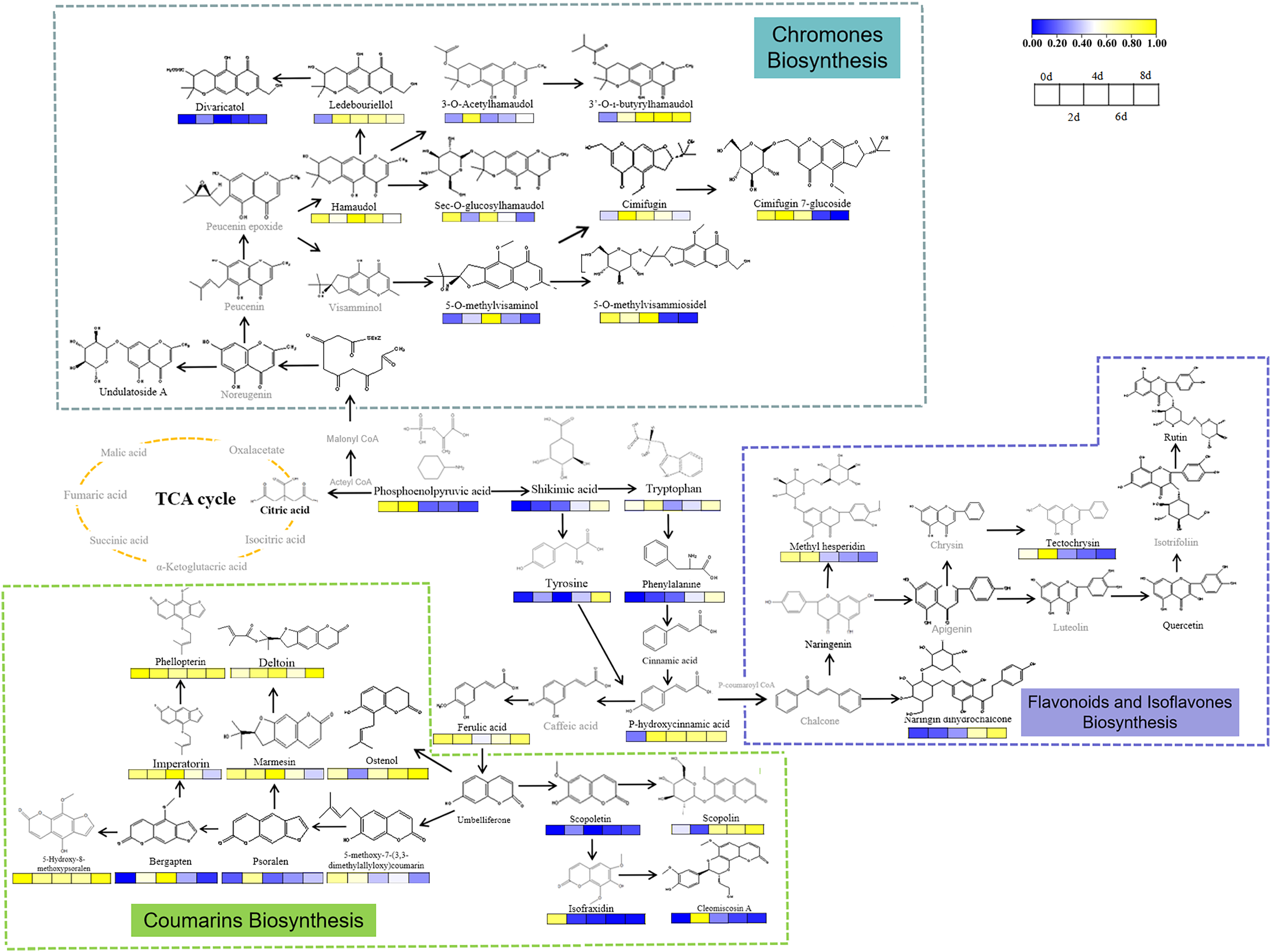 Ecological roles of secondary metabolites of Saposhnikovia divaricata in  adaptation to drought stress [PeerJ]