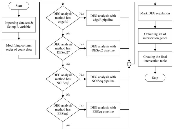 The program flowchart illustrates the process of the bestDEG pipeline.