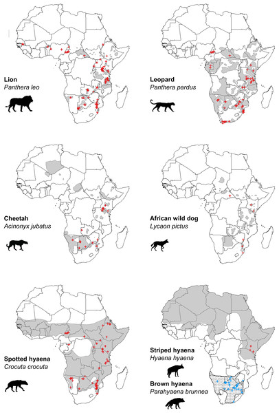 Location of peer-reviewed African large carnivore studies (2000–2020).