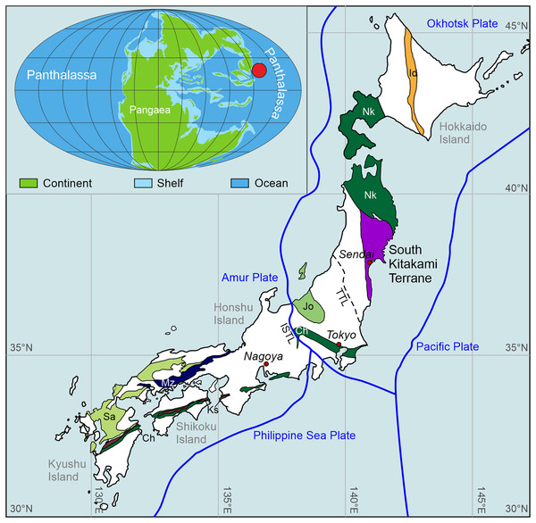 A summary map of the basement geology of Japan showing the terranes that have sedimentary sequences that include Triassic rocks, with an inset map showing the palaeogeographic location of the South Kitakami terrane during the Triassic (red circle).