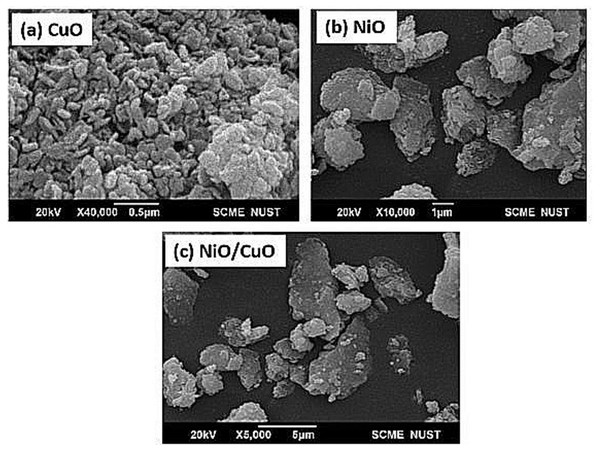 Scanning electron microscopic images of the synthesized nanomaterials.