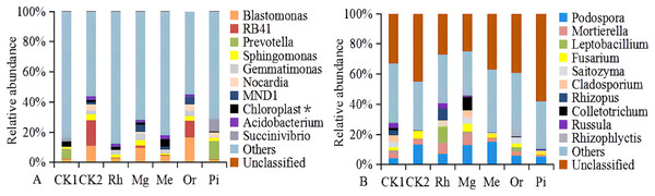 The relative abundances of soil bacterial (A) and fungal communities (B).