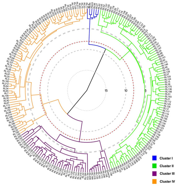 Circular cluster dendrogram based on similarity matrix enumerated from 218 rice landraces (RL) and 2 control (Ptb33 and Swarna) varieties.