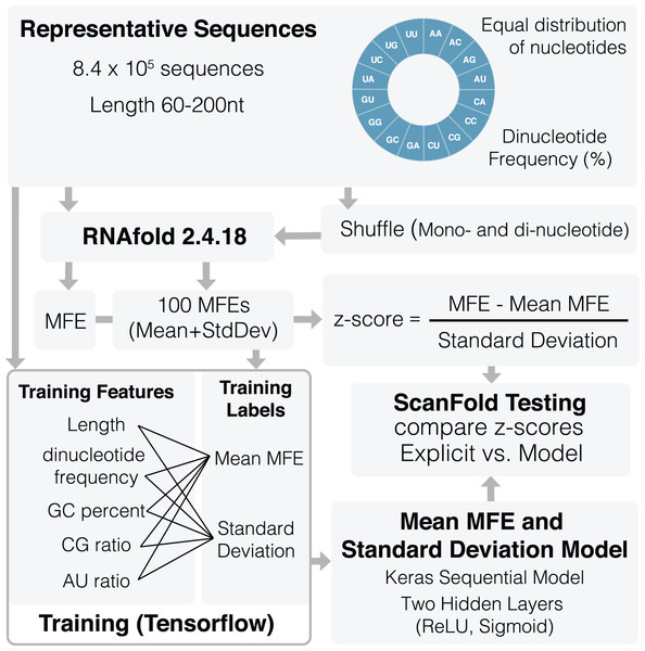 Schematic of ScanFold 2.0 training procedure.