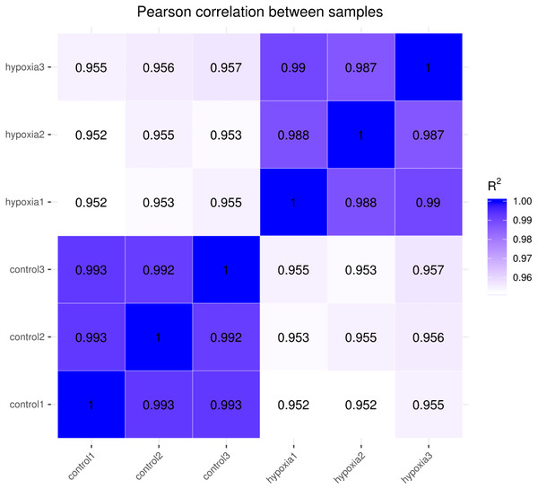 Heat map of correlation between samples.