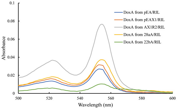 Determination for the heme concentration of DoxA in different expression strains.