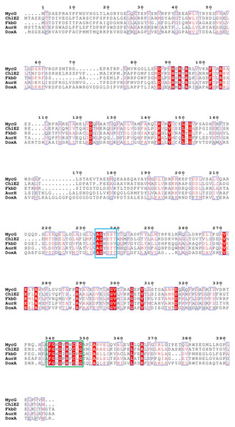 The homologous sequence alignment of DoxA.