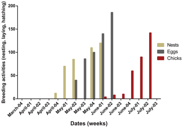 Breeding chronology of turtle doves at the Saïss plain during two seasons of 2018 and 2019.
