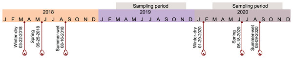 Timeline of seasonal burn treatments and sampling period during which pollinators and flowering plants were recorded indicated by the grey bars.