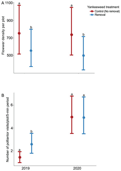 Effect of yankeeweed removal treatments on (A) flower density, and (B) pollinator visitation rates in 2019, the year between burn treatments, and 2020, when burn treatments were again applied.