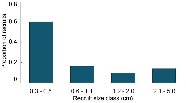 Size class distribution of recruits found on natural substratum on reefs at Grootpan and Europa Bays, St John.