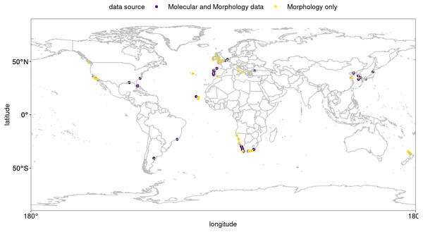 Global occurrence records of Hymeniacidon perlevis based on morphological and molecular data.