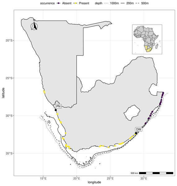 Hymeniacidon perlevis range along the southern African coastline.