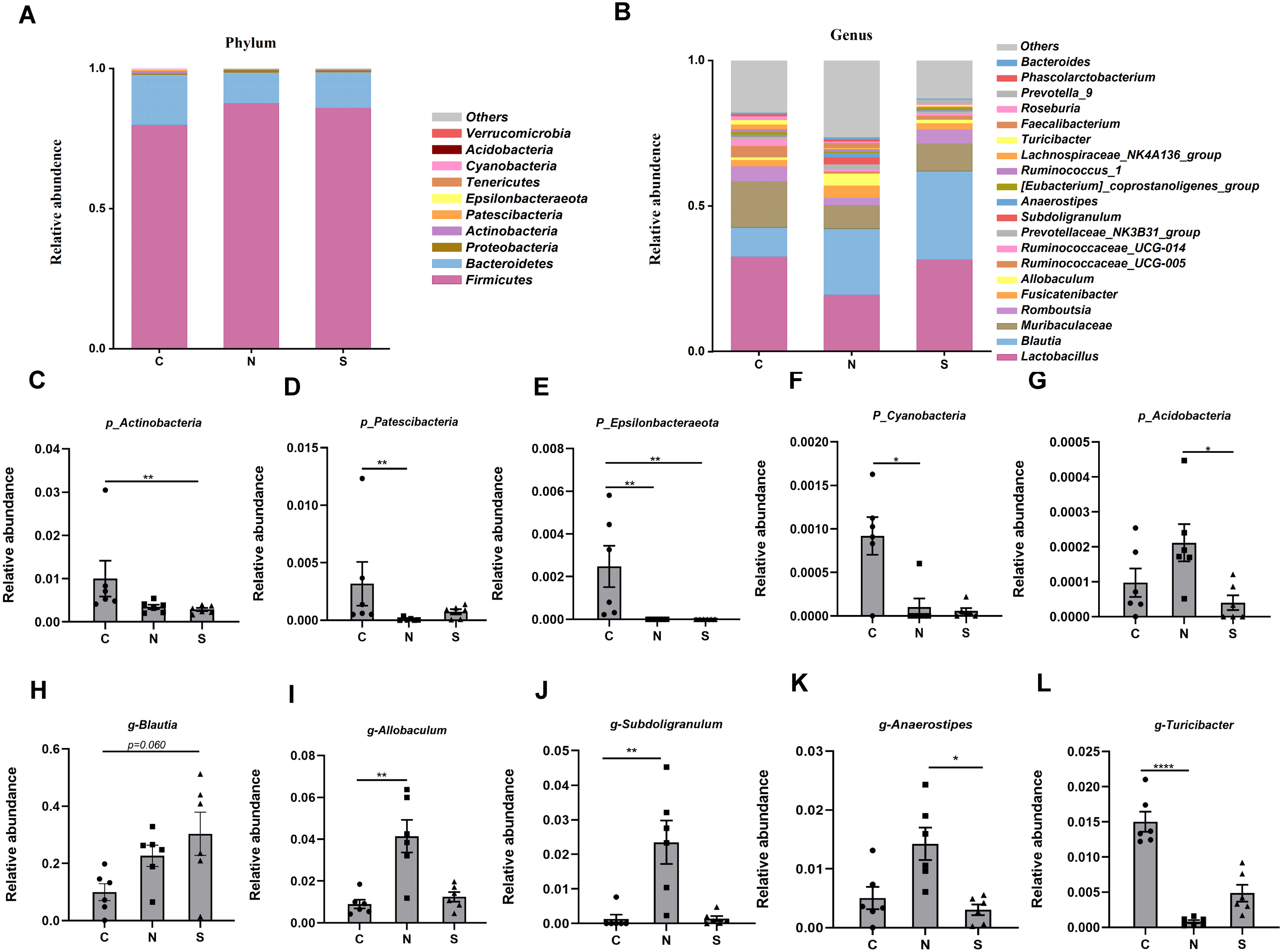 the-effects-of-saccharomyces-boulardii-on-rat-colonic-hypermotility