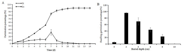 Germination percentage in Petri dishes under adequate water (A) and in soil at different buried depth (B).