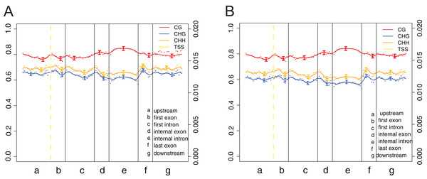 DNA methylation patterns across the entire transcriptional units at whole genome level.