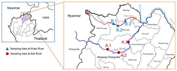 Map of the location of the sampling sites at the KokRiver and Kham River in Chiang Rai province.