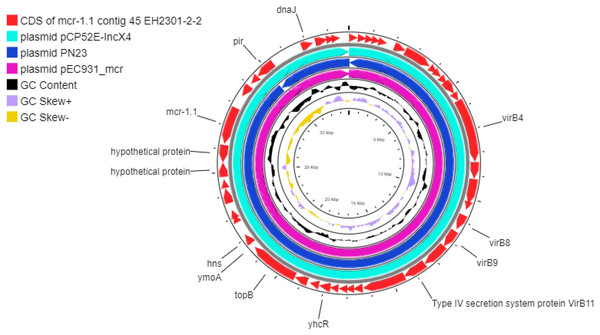 Circular comparison between the mcr-1.1-carrying contig 45 from EH2301 to the most three identical IncX4 type plasmids carrying mcr-1 deposited in the GenBank database.