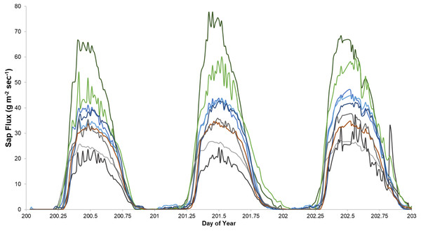 An example of sap flux density in nine trees continuously measured from July 19 to 21, 2018.