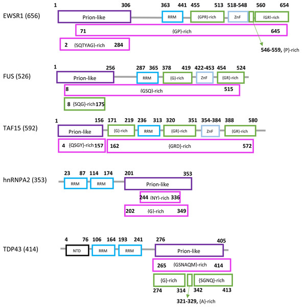 Domain content of the human forms of EWSR1, FUS, TAF15, hnRNPA2 and TDP43.