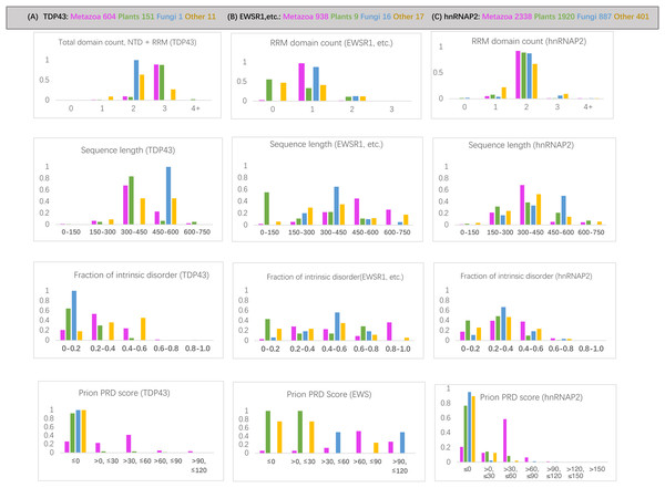 Bar charts for the three sets of orthologs analyzed for various attributes.