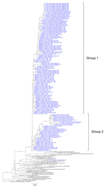 Maximum likelihood phylogenetic analysis of NA among H5N1 isolates reported in Thailand between 2003 and 2010.