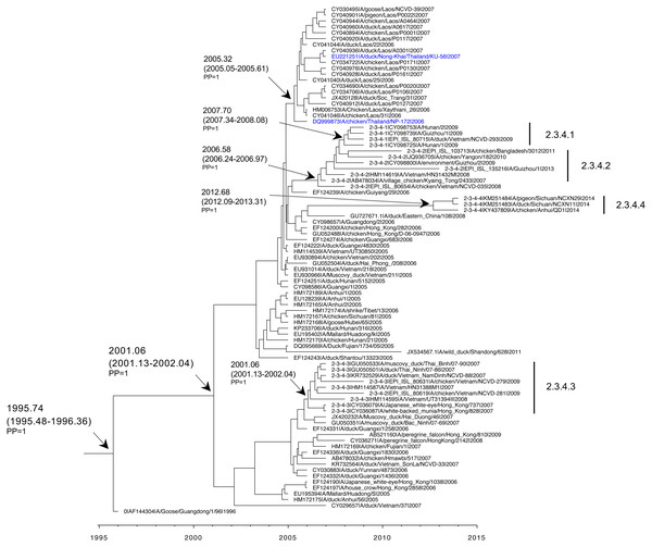 Maximum clade credibility tree based on NA of H5N1 clades 2.3.4, 2.3.4.1, 2.3.4.2, 2.3.4.3 and 2.3.4.4 viruses.