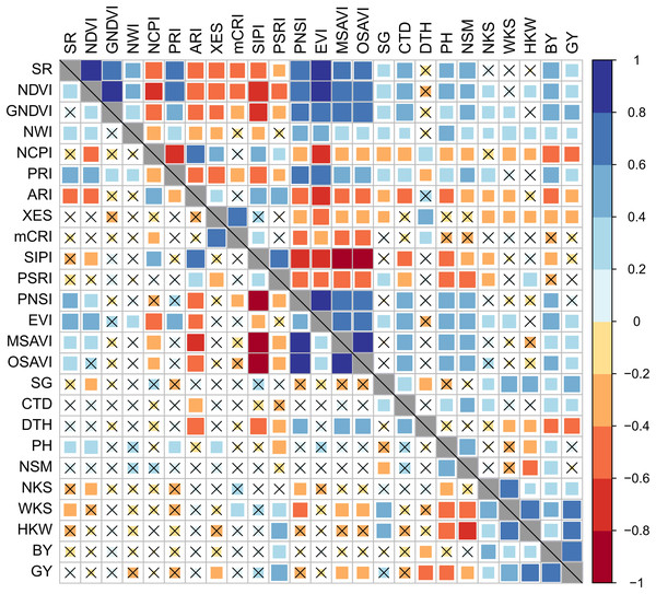 Phenotypic correlation between best linear unbiased estimators of SRIs and yield traits of 56 bread wheat genotypes under control and drought conditions.