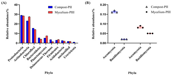 Microbial community analysis of Compost-PII and Mycelium-PIII (phylum level).