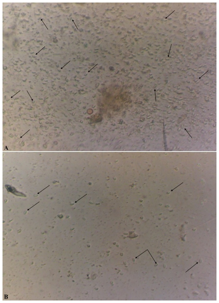 UST Microbiology Society - November's microbe of the month