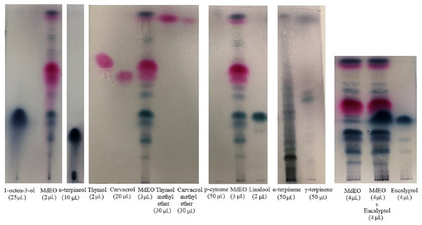 TLC of Monarda didyma essential oil (EO).