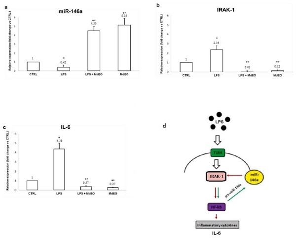 Anti-inflammatory effect of Monarda didyma essential oil on miR-146a, IRAK-1 and IL-6 expression levels in U937 cells.