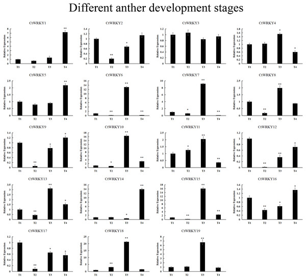 CtWRKY genes were analysed by PCR to determine their expression at different developmental stages of the anther.