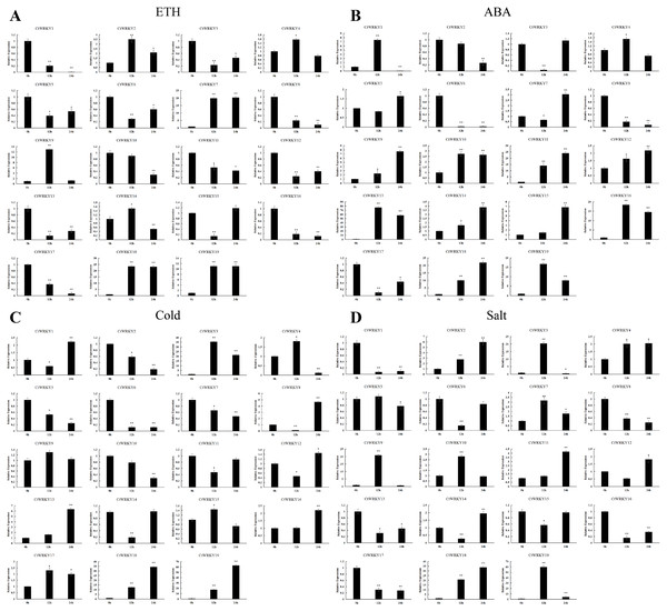 Expression profile of the CtWRKYs in response to plant hormones and abiotic stresss.