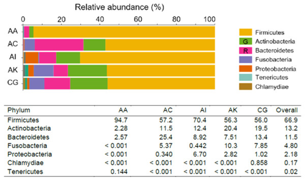 Taxonomic pattern and percentage relative abundance of the top seven phyla within the vaginal microbiomes of the five ethnic groups (AA, African American; AC, Afro-Caribbean; AI, Asian Indonesian; AK, African Kenyan and CG, Caucasian German). G = Green; R = Red.