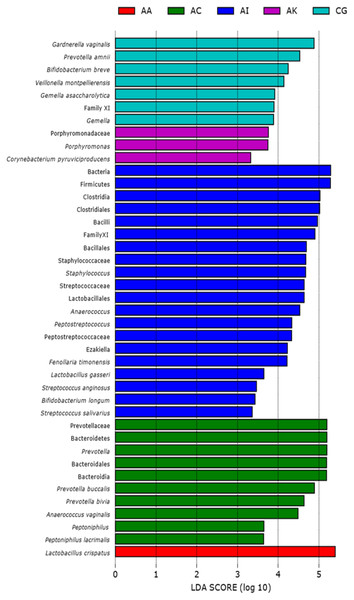 Linear discriminant analysis (LEfSe with abs LDA score >2.0) plot showing differentiating bacterial taxa of the vaginal microbiomes of the five ethnic groups (AA, African American; AC, Afro-Caribbean; AI, Asian Indonesian; AK, African Kenyan and CG, Caucasian German).